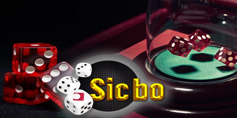 Sicbo Sunwin – Game Bài Cá Cược Hấp Dẫn 2024